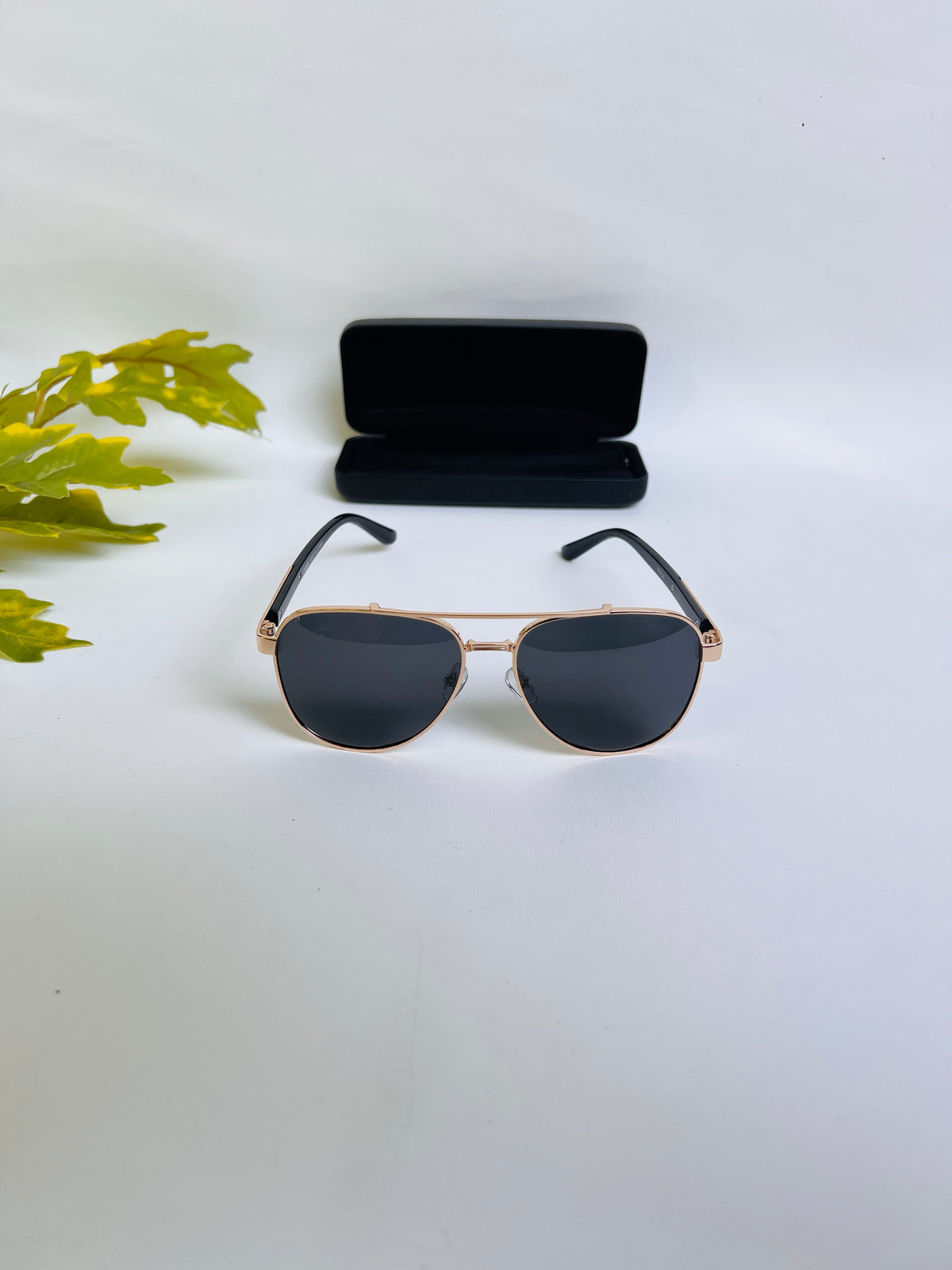 Biarritz